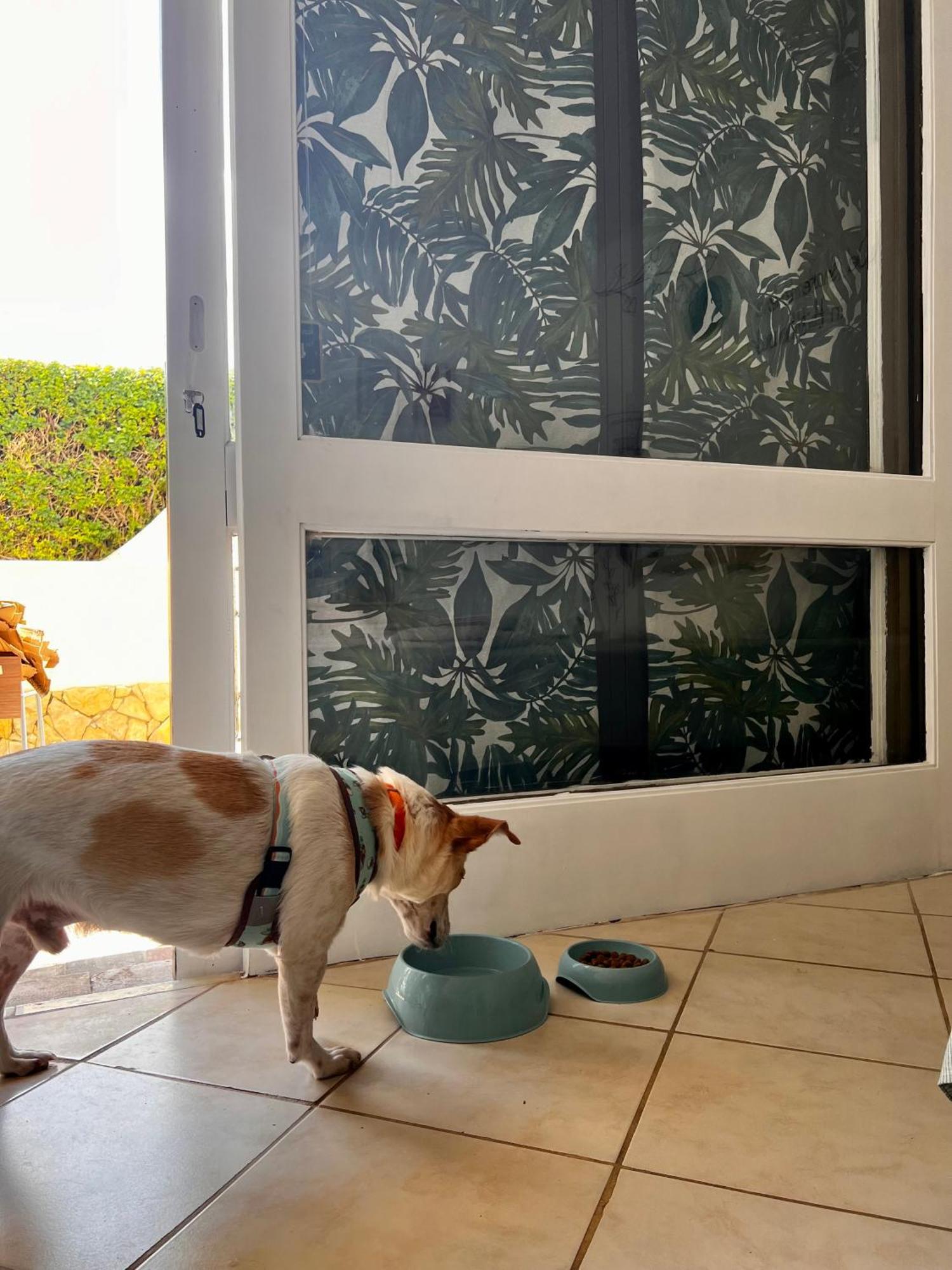 Studio Albufeira Jardim T0 المظهر الخارجي الصورة